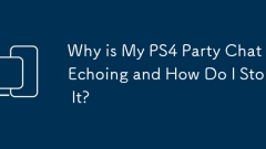 Warum hallt mein PS4 -Party -Chat und wie stoppe ich es?