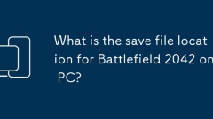 Was ist der Speicherort für Battlefield 2042 auf dem PC?