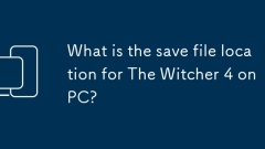 Was ist der Speicherort für den Witcher 4 auf dem PC?