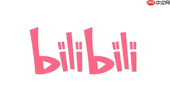 bilibili哔哩哔哩网页版入口 bilibili哔哩哔哩网页版地址 - php中文网