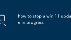 Win 11 ????? ???? ?? ???? ????