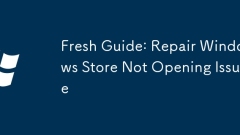 Fresh Guide: Repair Windows Store Not Opening Issue