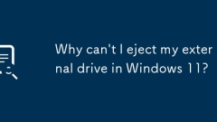Windows 11?? ?? ????? ?? ??? ??? ??????