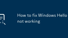 Windows Hello? ??? ??? ???? ????