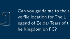 Pouvez-vous me guider vers l'emplacement de fichier de sauvegarde pour la légende de Zelda: Tears of the Kingdom sur PC?