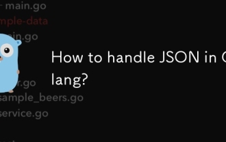 Wie gehe ich mit JSON in Golang um?