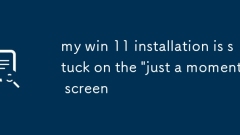 my win 11 installation is stuck on the 'just a moment' screen