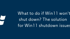What to do if Win11 won't shut down? The solution for Win11 shutdown issues