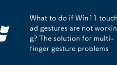 What to do if Win11 touchpad gestures are not working? The solution for multi-finger gesture problems