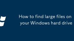 How to find large files on your Windows hard drive