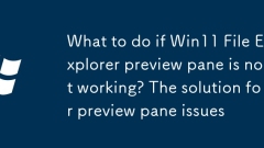 What to do if Win11 File Explorer preview pane is not working? The solution for preview pane issues