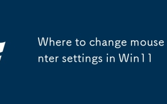 Win11中的鼠标指针设置在哪里更改