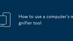 How to use a computer's magnifier tool