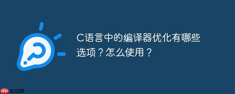 c语言中的编译器优化有哪些选项？怎么使用？