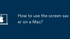 How to use the screen saver on a Mac?