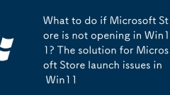 What to do if Microsoft Store is not opening in Win11? The solution for Microsoft Store launch issues in Win11