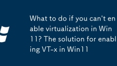 What to do if you can't enable virtualization in Win11? The solution for enabling VT-x in Win11
