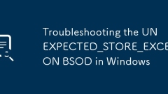 Troubleshooting the UNEXPECTED_STORE_EXCEPTION BSOD in Windows