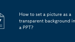 PPT?? ??? ??? ???? ???? ??? ??????