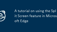 A tutorial on using the Split Screen feature in Microsoft Edge