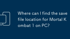 Where can I find the save file location for Mortal Kombat 1 on PC?