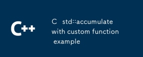 C STD ::カスタム関数の例で蓄積します