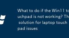 What to do if the Win11 touchpad is not working? The solution for laptop touchpad issues