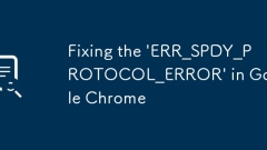 Fixing the 'ERR_SPDY_PROTOCOL_ERROR' in Google Chrome