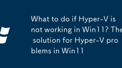 What to do if Hyper-V is not working in Win11? The solution for Hyper-V problems in Win11