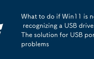 如果Win11不认识USB驱动器,该怎么办? USB端口问题的解决方案