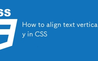 Comment aligner le texte verticalement dans CSS