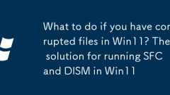 如果您在Win11中損壞了文件,該怎麼辦?在Win11中運行SFC和DIS的解決方案