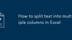 How to split text into multiple columns in Excel