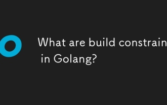 What are build constraints in Golang?