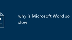 why is Microsoft Word so slow