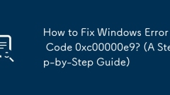 Bagaimana untuk memperbaiki kod ralat windows 0xc00000e9? (Panduan langkah demi langkah)