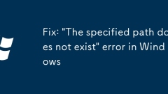 Fix: 'The specified path does not exist' error in Windows