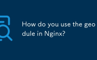 您如何在nginx中使用GEO模塊?