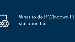 What to do if Windows 11 installation fails