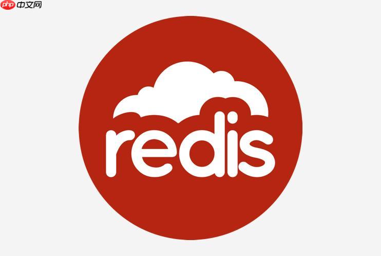 redis如何存储json数据 redis存储json的最佳实践指南