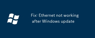 Betulkan: Ethernet tidak berfungsi selepas kemas kini Windows