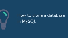 MySQL?? ??????? ???? ??