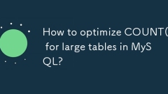 MySQL? ? ???? ?? ??? (*)? ????? ??? ??????