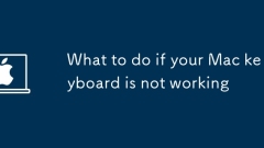 What to do if your Mac keyboard is not working