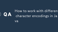 ???? ?? ??? ????? ???? ??