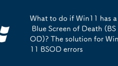 What to do if Win11 has a Blue Screen of Death (BSOD)? The solution for Win11 BSOD errors