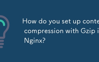Wie richten Sie die Inhaltskomprimierung mit GZIP in Nginx ein?
