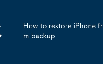 Comment restaurer l'iPhone à partir de la sauvegarde