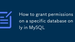 MySQL??? ?? ??????? ?? ?? ?? ??
