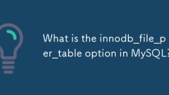 MySQL? innodb_file_per_table ??? ??????